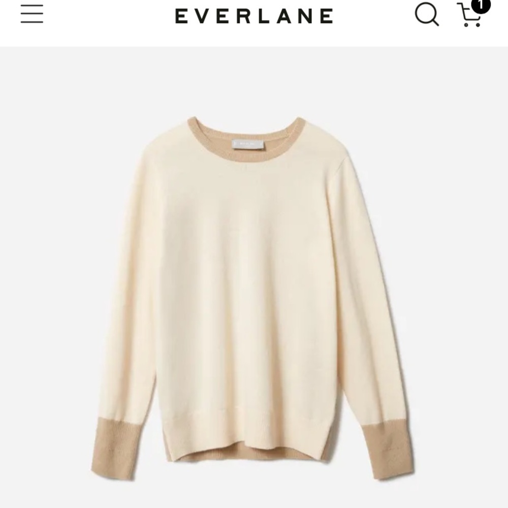 Everlane cashmere sweater size small